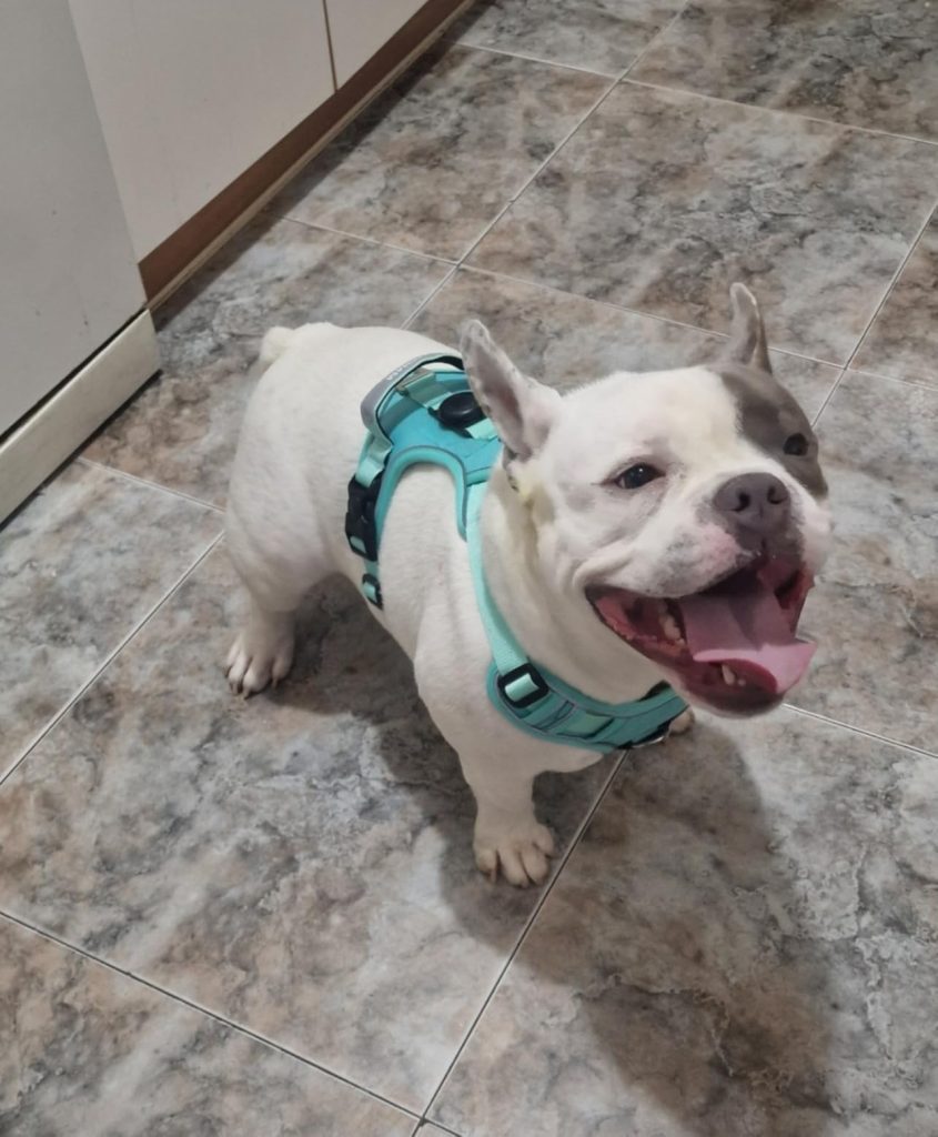 Imagen #1 de Carolina