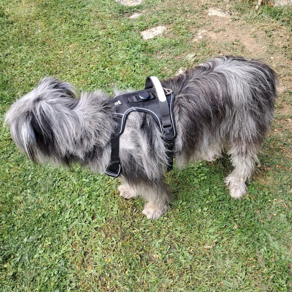 Imagen #4 de Francisco