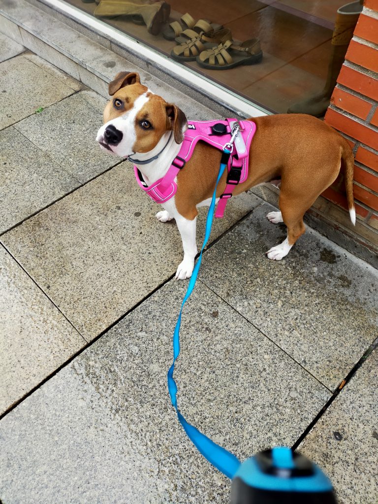 Imagen #1 de Fermina