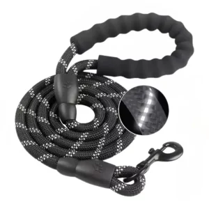 Correa negra de 1.5 m, con mango acolchado y reflectante