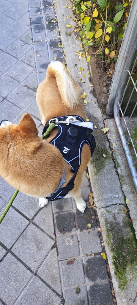 Imagen #1 de Alberto Gazpio Garcia